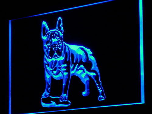 French Bulldog Dog Pet Shop